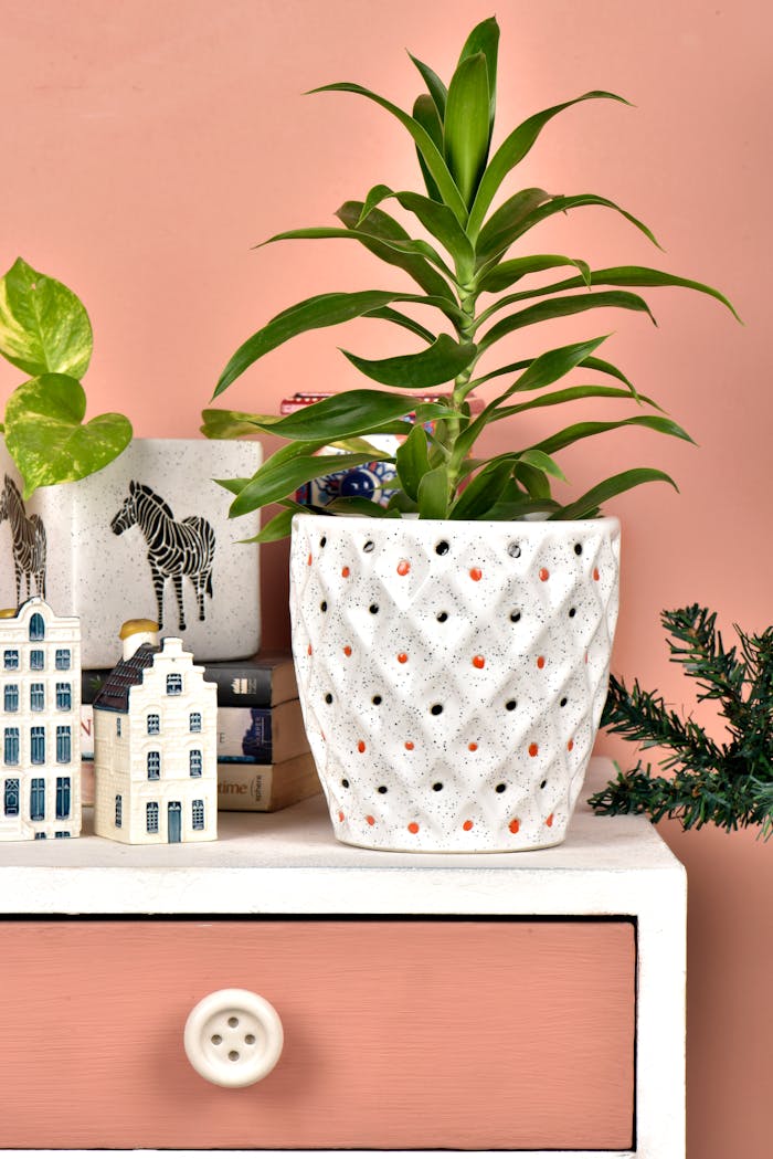 Green-leafed Plant on White Pot